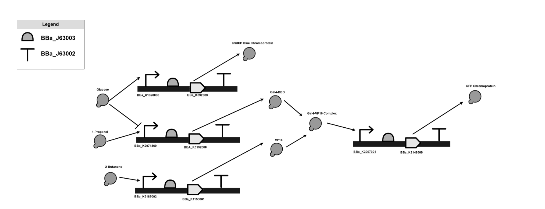 VOC biosensor: synthetic-biology AND-gate pathway diagram mapping breath-biomarker inputs to a GFP output.